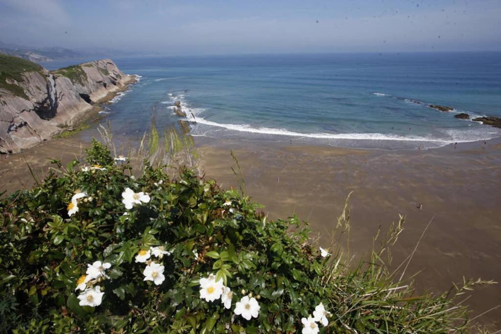 2 Habit, Sala, Terraza, Jardin, Parking Gratis Apartment Zumaia Luaran gambar